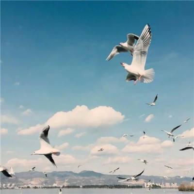 BSport·APP在线登录app下载