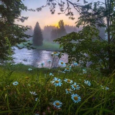 星空体育安卓app下载